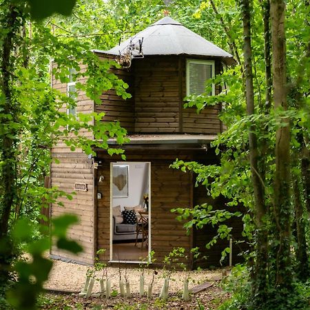 Вилла Honeycombe - Treehouse In The Heart Of Dorset Бландфорд-Форум Экстерьер фото