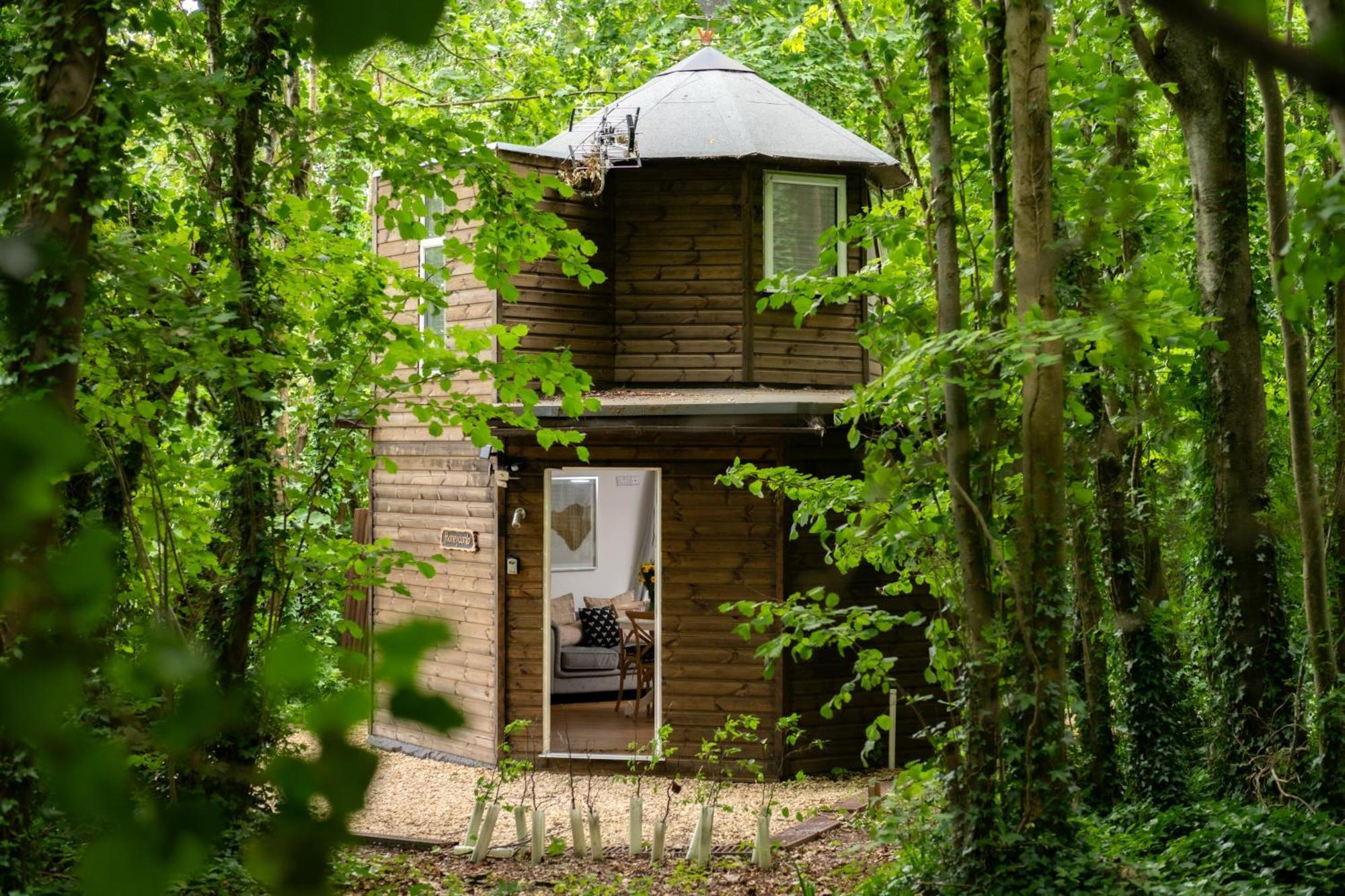 Вилла Honeycombe - Treehouse In The Heart Of Dorset Бландфорд-Форум Экстерьер фото