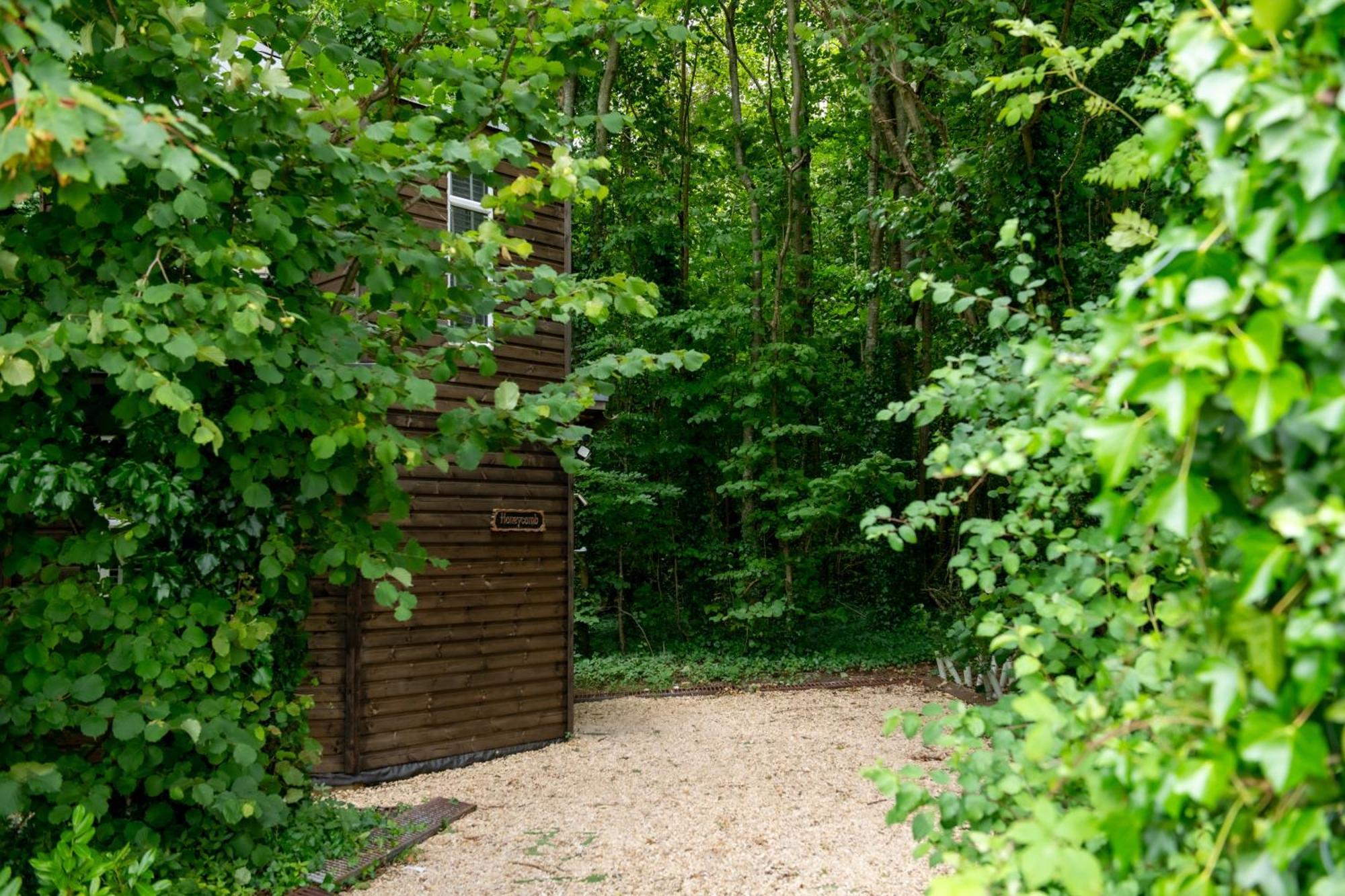Вилла Honeycombe - Treehouse In The Heart Of Dorset Бландфорд-Форум Экстерьер фото