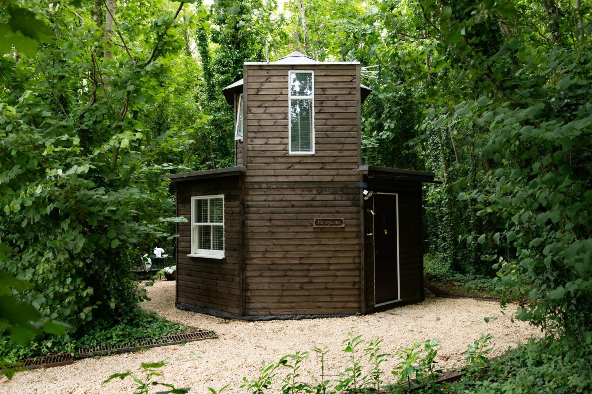 Вилла Honeycombe - Treehouse In The Heart Of Dorset Бландфорд-Форум Экстерьер фото
